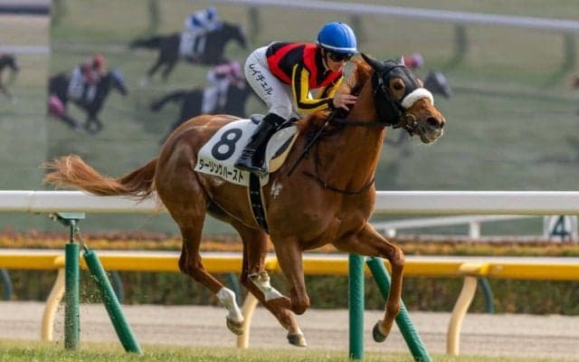 【東京6R】フォーエバーヤング半妹が初勝利！ダーリングハーストが快勝