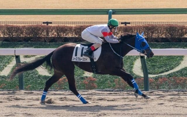 【新馬/東京4R】ロケットスタートから独走V！ノースブルースカイが鮮やか逃げ切り