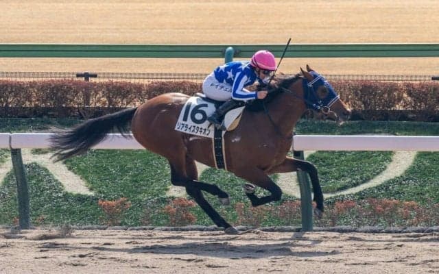 【東京3R】キング騎乗 リアライズタキオンがV…単勝1.3倍イナズマダイモンは5戦連続の2着