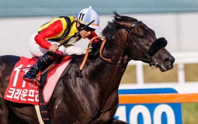 韓国で種牡馬入り！クラウンプライドが登録を抹消