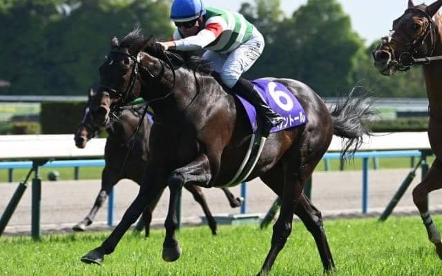 【AI予想・京都記念】長欠明けもひと追いごとに確実に良化！ 人工知能はGI馬の能力を素直に信頼