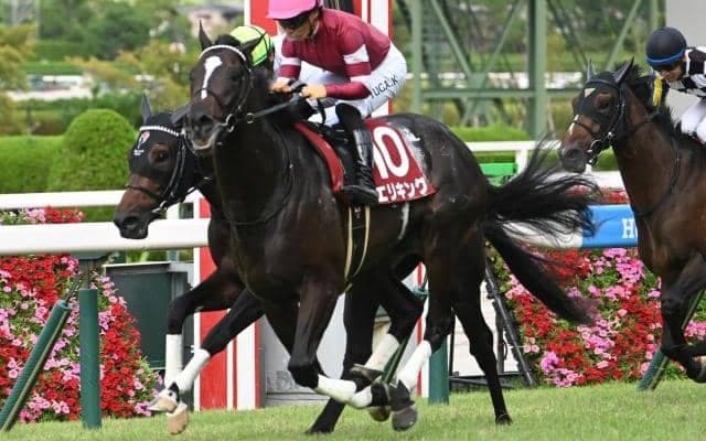 【今日の注目ポイント】東京で共同通信杯と京都で京都記念 WIN5はキャリーオーバー発生中