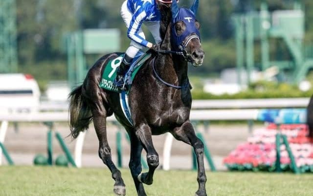 【共同通信杯予想】皐月賞やダービーにつながる出世レース