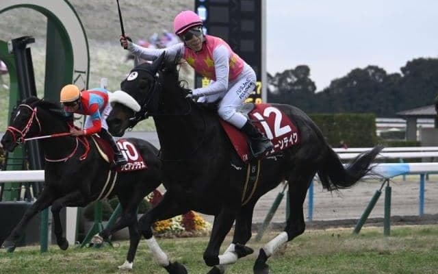 【JRA・WIN5】売上62億超で歴代最高を更新、的中3159票も配当は155万9760円