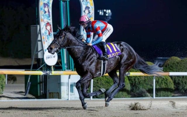 【佐賀記念】カゼノランナーが6馬身差圧勝…断然人気カズタンジャーは4着