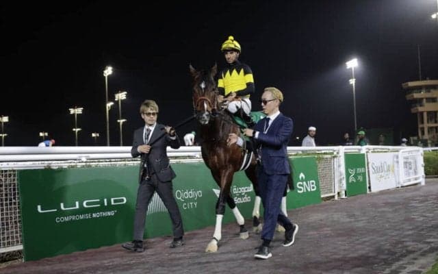 【1351ターフスプリント】パンジャタワー5着、力は出し切るもあと一歩…橋口師「距離なのか止まってしまいました」