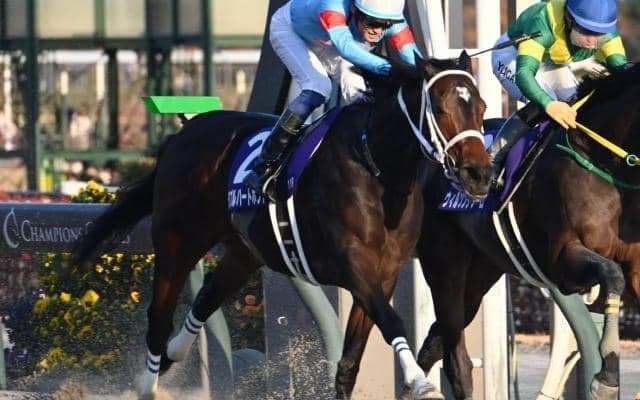 今年最初のGI・フェブラリーSなど4重賞/今週の競馬界の見どころ