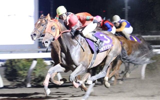 【高知・だるま夕日賞】止まらないオタマジャクシ、圧巻6連勝