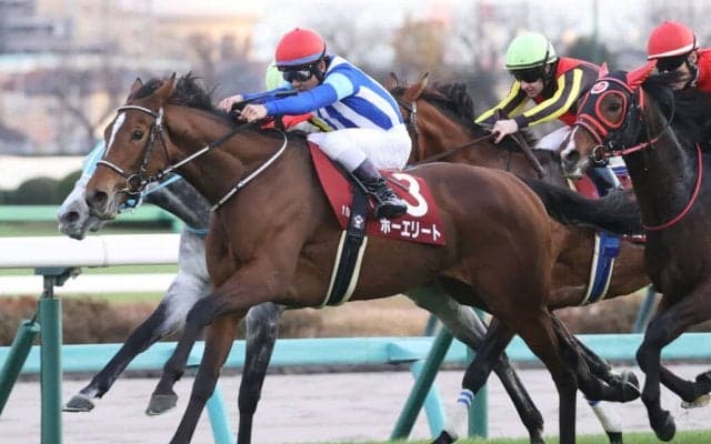 【ダイヤモンドS登録馬】スタミナ自慢集結！ホーエリートなど15頭