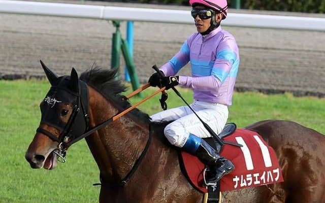 【小倉大賞典見どころ】巧みなレースぶりが持ち味のナムラエイハブ