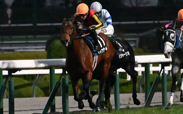 【阪急杯見どころ】連勝で勢い十分のディアナザールが重賞を制すか