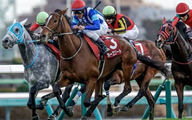 【ダイヤモンドS見どころ】今年は更に大きな舞台へ向かうホーエリート
