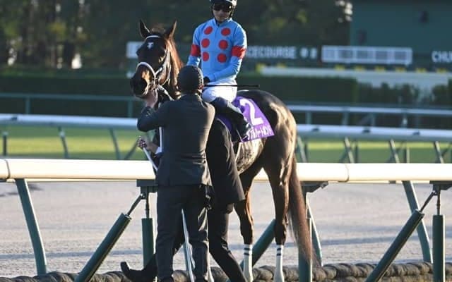 【フェブラリーS見どころ】紅一点ダブルハートボンドがGI連覇だ