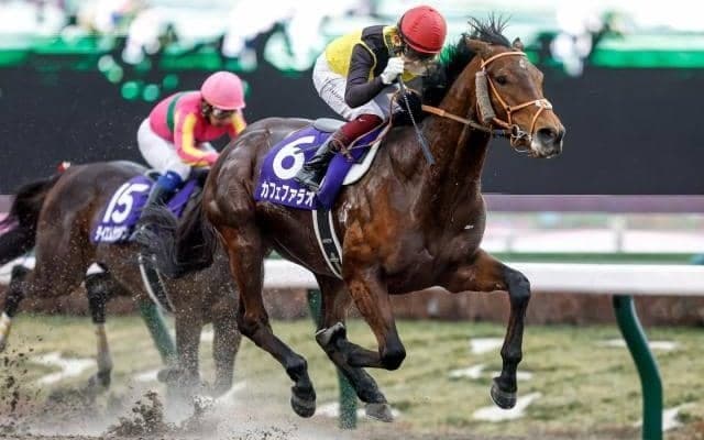 フェブラリーS勝ち時計ランキング 1位は22年カフェファラオの巻き返しV