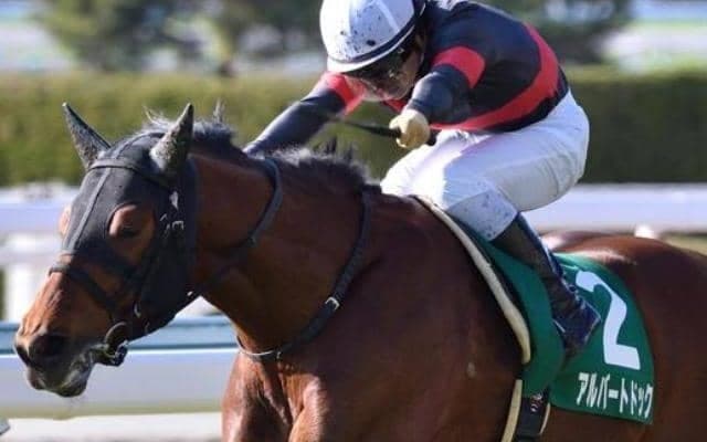 現在は種牡馬としてイタリアで活躍中 アルバートドックが重賞初制覇を飾った16年小倉大賞典を回想