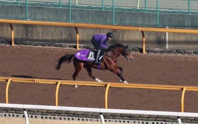 アドマイヤクワッズなど、先週の入厩情報/栗東トレセンニュース