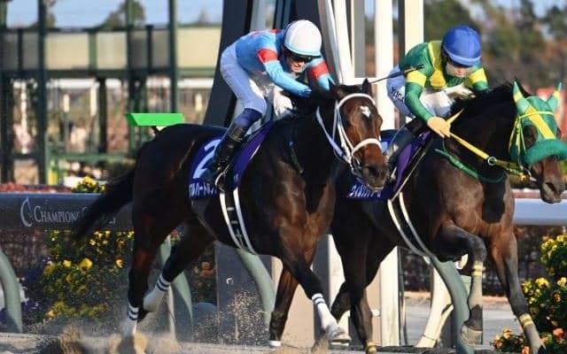 【フェブラリーS予想オッズ】ダブルハートボンドが予想1番人気