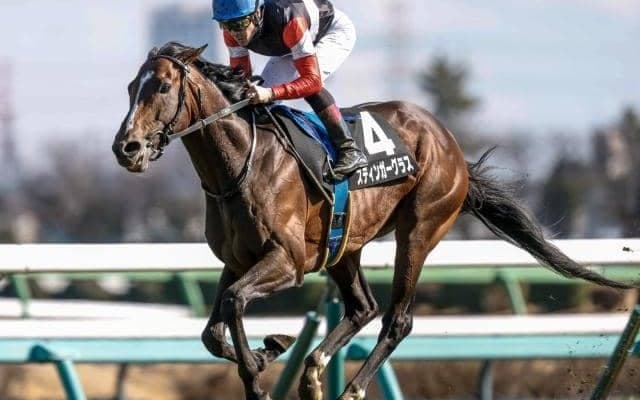 【ダイヤモンドS予想オッズ】スティンガーグラスが予想1番人気