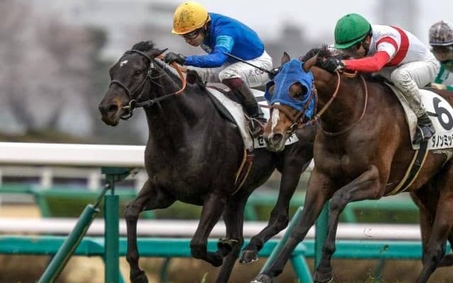 【小倉大賞典予想オッズ】センツブラッドが予想1番人気