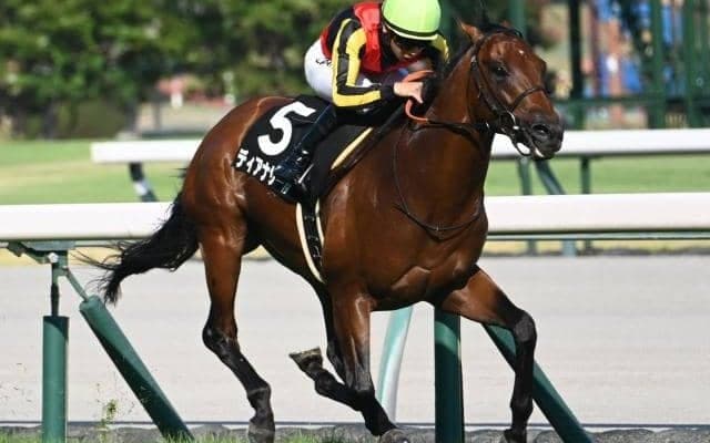 【阪急杯予想オッズ】ディアナザールが予想1番人気