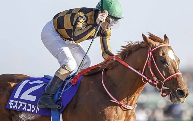 フェブラリーS着差ランキング 史上5頭目の芝ダート二刀流JRA・GI制覇など