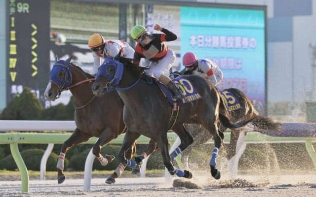 TCK大賞にディクテオン 荒山勝徳厩舎の活躍が際立つ