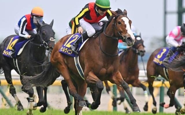 【中山記念想定】チェルヴィニア、カラマティアノスなど12頭