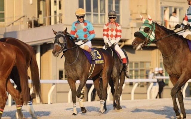 【雲取賞】1番人気マクリールはスタート決まらず3着…ルメール「3コーナーから手応えはなかった」