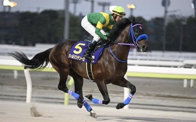 【フェブラリーS予想】上位人気が堅実な一戦 AIも実績馬を順当に評価