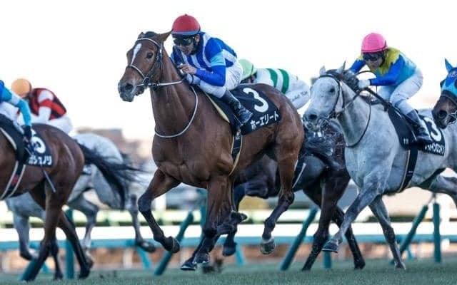 【ダイヤモンドS出走馬・騎手確定】ホーエリート＆戸崎圭太騎手、スティンガーグラス＆C.ルメール騎手など15頭