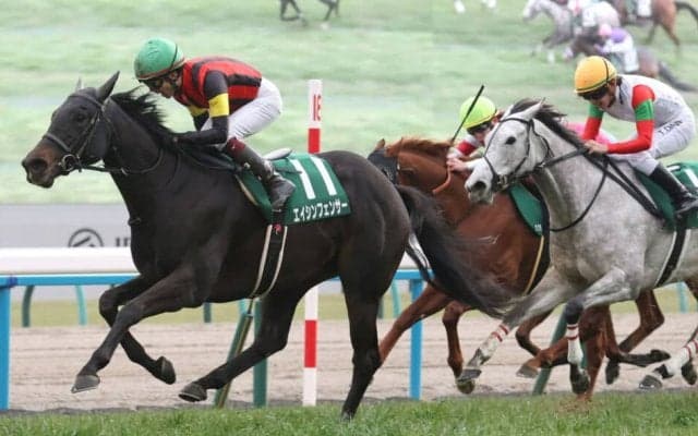 エイシンフェンサーが登録抹消…繁殖入り