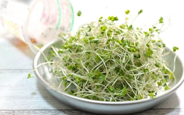 ブロッコリースプラウトを食べ続けるとどうなる？1週間〜3ヶ月の変化を医師が解説