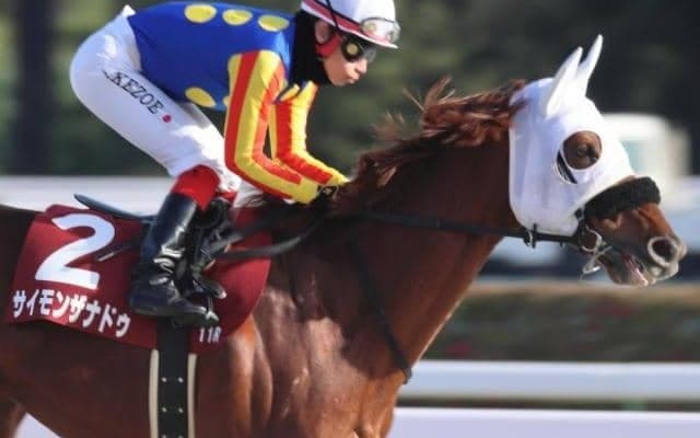 単勝20倍以上で好走した伏兵に共通点 フェブラリーSで注目すべき“2つの条件”