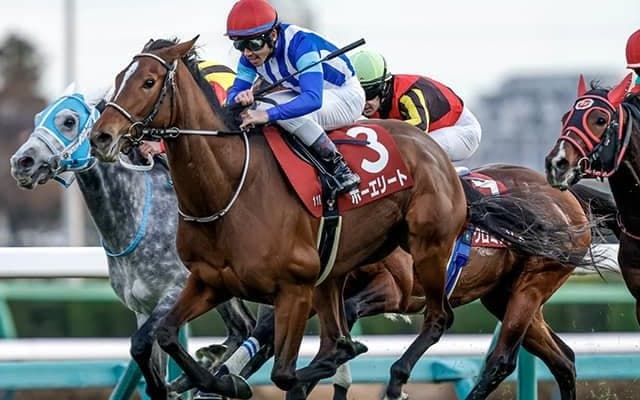 【ダイヤモンドS枠順確定】ホーエリートは7枠12番、スティンガーグラスは7枠13番