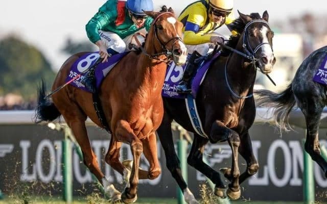 ロンジンワールドベストレース受賞は2度目の快挙 今週末には記念競走も実施