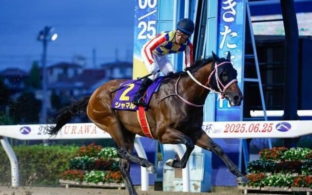 【名古屋・かきつばた記念枠順】JpnI・3勝のシャマルは2枠2番、2つ目のタイトル狙うマテンロウコマンドは8枠11番