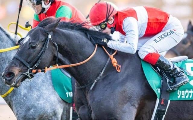 【小倉大賞典】セレクト5.1億円のショウナンアデイブ 史上最高額のJRA重賞勝ち馬となるか