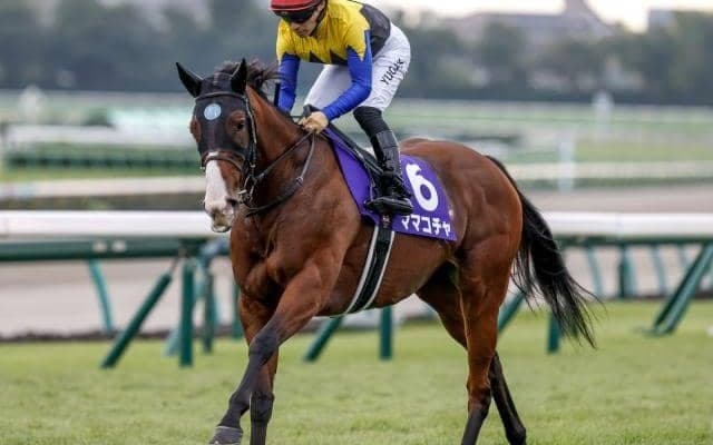 【オーシャンS想定馬・騎手】ママコチャ、ルガルなど19頭