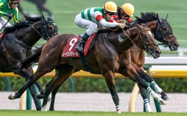 【中山記念想定馬・騎手】レーベンスティール、カラマティアノスなど14頭
