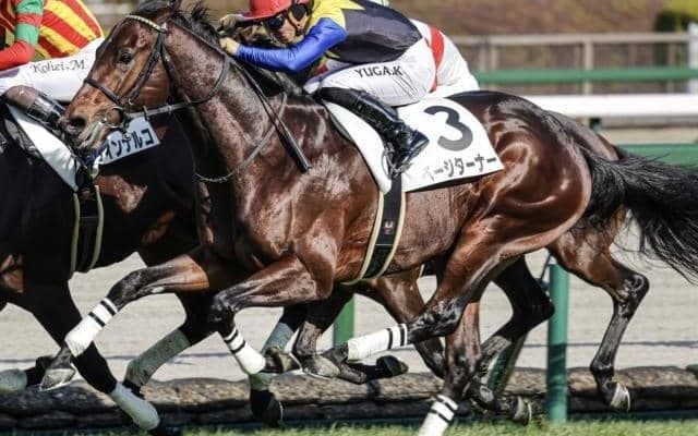 【すみれS】金子真人オーナーのセレクト2.6億円馬 ページターナーがデビュー2連勝狙う