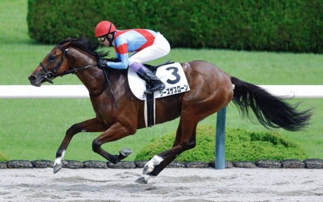 【武豊日記】元メジャーリーガー藤浪晋太郎投手との交流