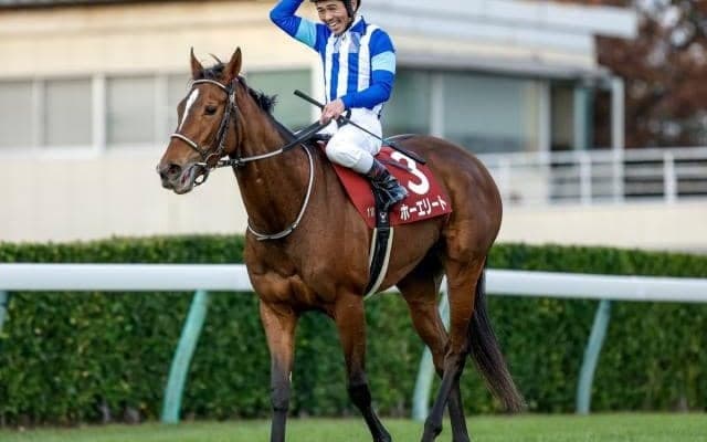 【今日の注目ポイント】東京でダイヤモンドSと阪神で阪急杯