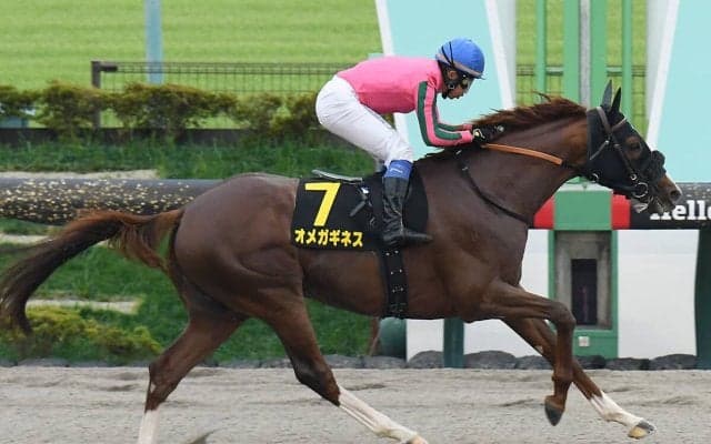 【競馬予想】群雄割拠のフェブラリーＳ　国内ダート頂上決戦に備えてきた実力馬たちを脅かす伏兵候補