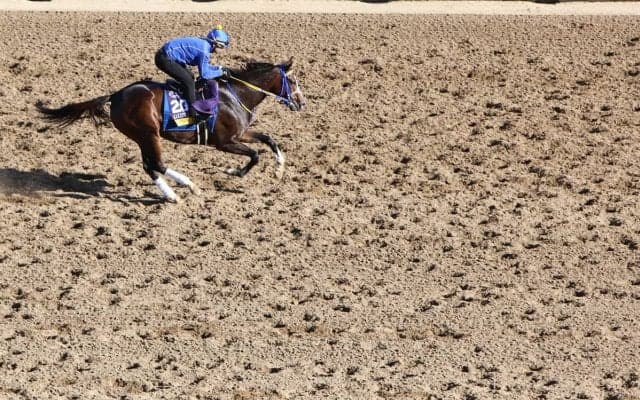【フェブラリーS／穴ライズ】秘めた能力は相当高い、前売り“8人気”前後の伏兵に「暴走か、一発か」の魅力あり