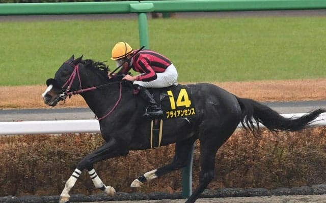【競馬予想】今年最初のＧⅠ、フェブラリーＳで注目すべき血統は？　レースと相性がよさそうな２頭に期待