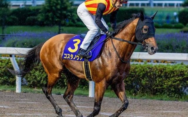 霜降り明星・粗品はコスタノヴァを信頼 3連単で勝負だ