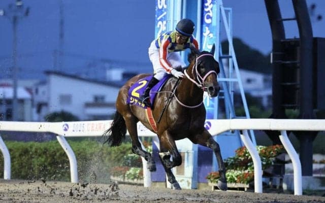 【かきつばた記念】60kgシャマルは2枠2番