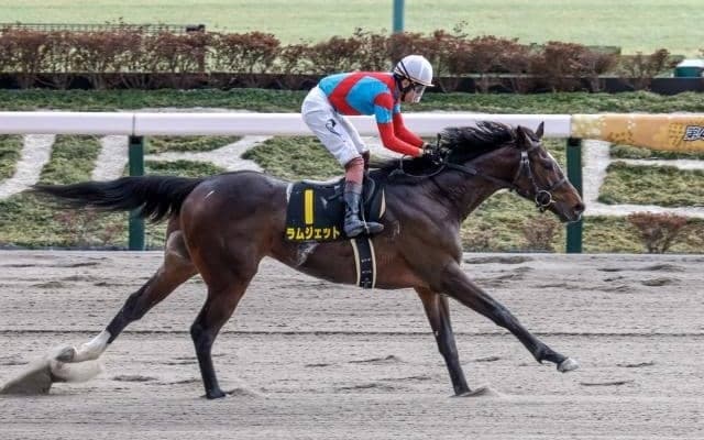 【フェブラリーS予想】今年のGI戦線が幕開け JRAの上半期ダート王者に輝くのは