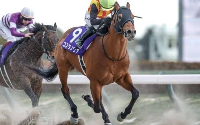 【フェブラリーS予想】「人気」「枠」「ローテ」「脚質」狙いは？ 過去データから探るGIフェブラリーS