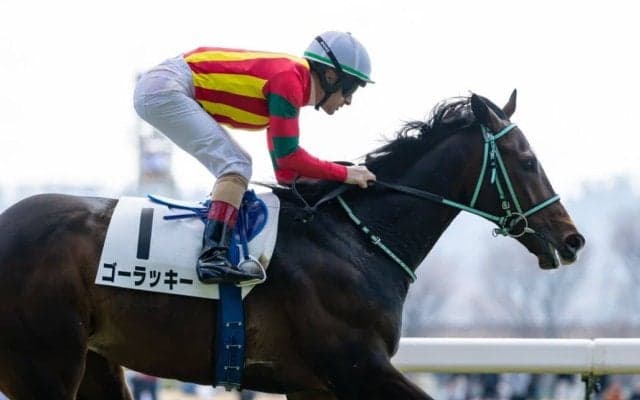 【東京5R】キタサンブラック産駒 ゴーラッキーがデビュー2連勝